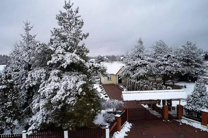 Agroturystyka Barycz 46 Konskie Exteriör bild
